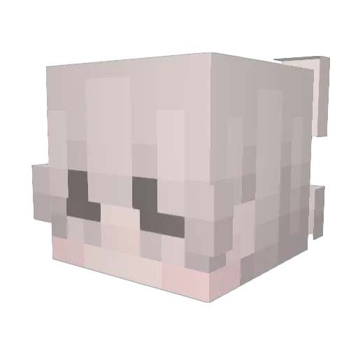CATBOYDEBUG Minecraft avatar head, 3D render