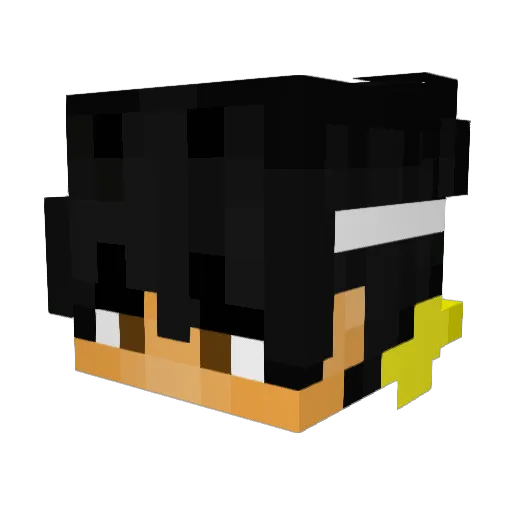 CATELSAMI Minecraft avatar head, 3D render