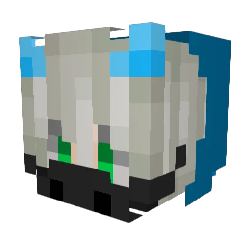 CATHRINEFOSSUM Minecraft avatar head, 3D render
