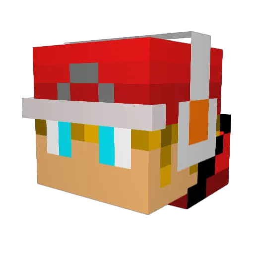 CATJOE Minecraft avatar head, 3D render