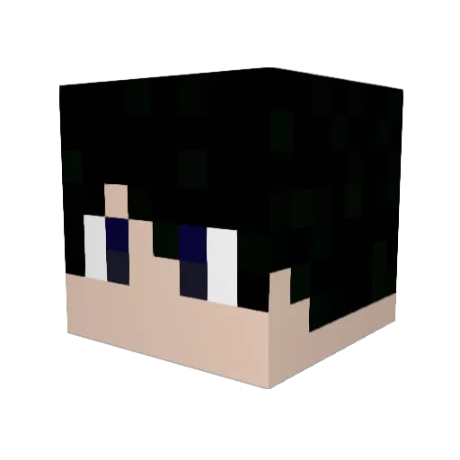 CATNOODLE01 Minecraft avatar head, 3D render