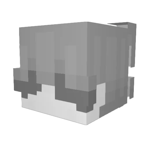 CATOF_WAR Minecraft avatar head, 3D render