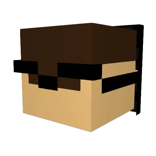 CATTHEDESTROYER Minecraft avatar head, 3D render