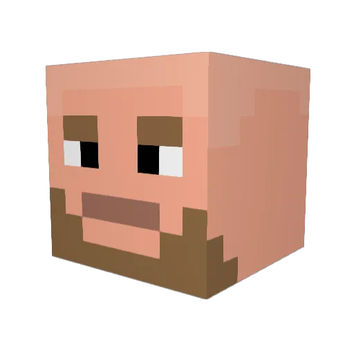 CATT_____ Minecraft avatar head, 3D render