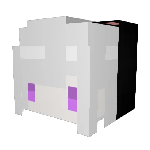 CAT_ouob Minecraft avatar head, 3D render