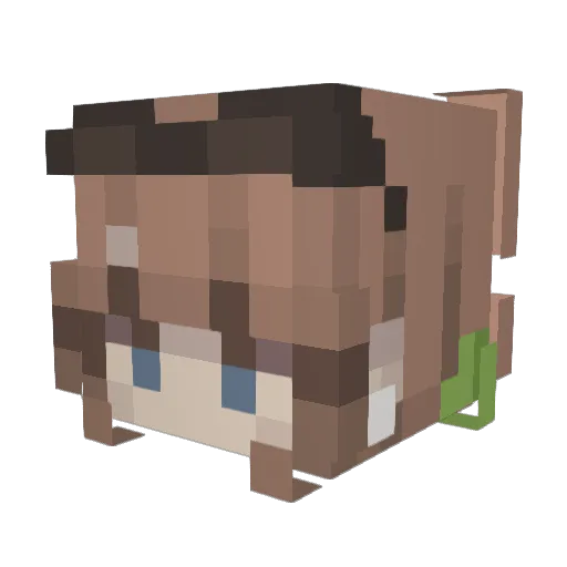 CATonight Minecraft avatar head, 3D render