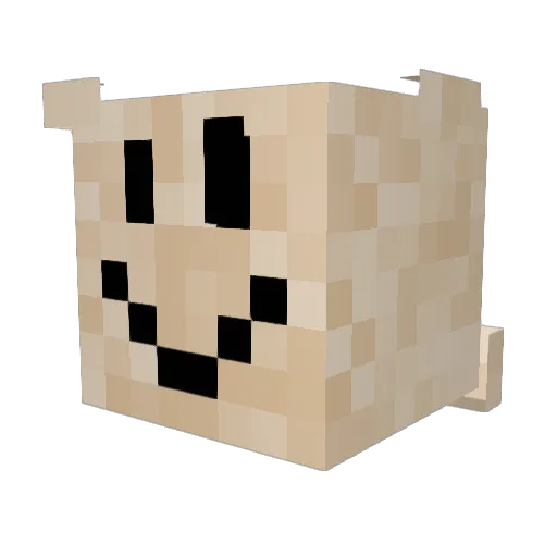 CAXINI Minecraft avatar head, 3D render