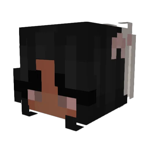 CAY1A Minecraft avatar head, 3D render
