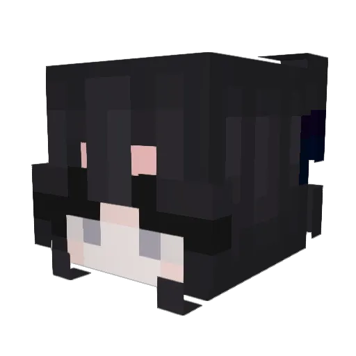 CBDnoob028 Minecraft avatar head, 3D render