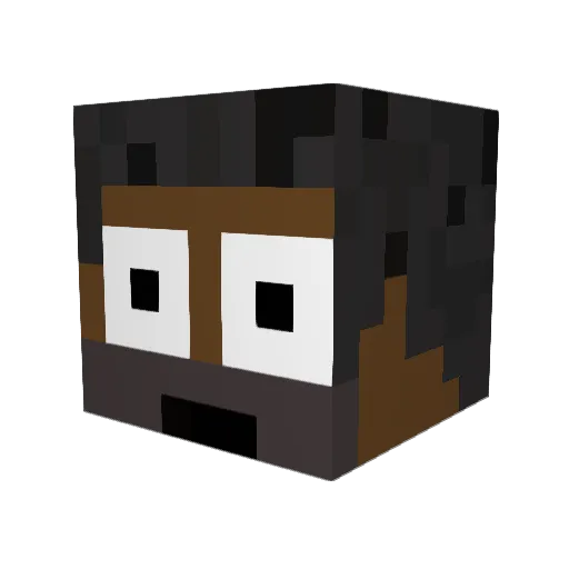 CBWLMEIGNWillinq Minecraft avatar head, 3D render