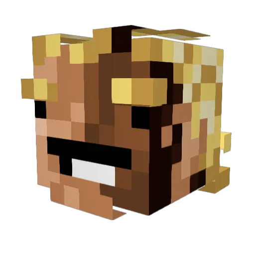 CB_Frog Minecraft avatar head, 3D render