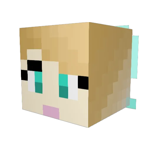 CBink25 Minecraft avatar head, 3D render