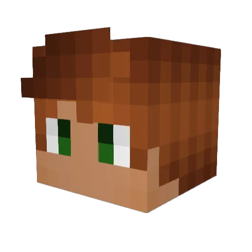 CBreezy66 Minecraft avatar head, 3D render