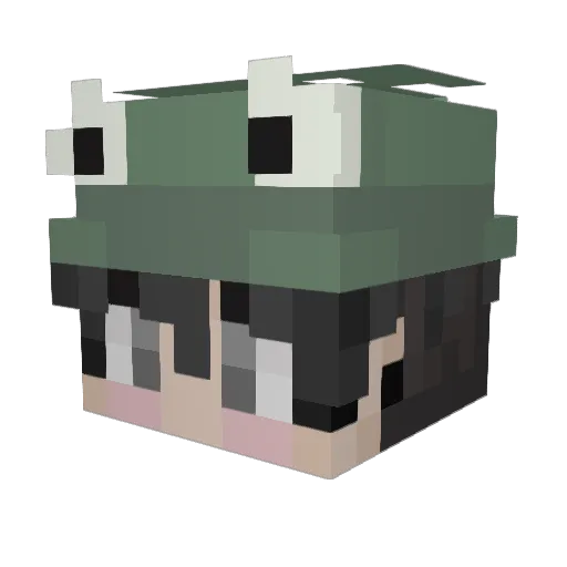 CBug2K8 Minecraft avatar head, 3D render