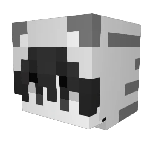 CCATBOY Minecraft avatar head, 3D render