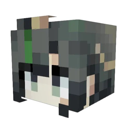 CCCRE Minecraft avatar head, 3D render