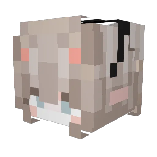 CCOPA Minecraft avatar head, 3D render