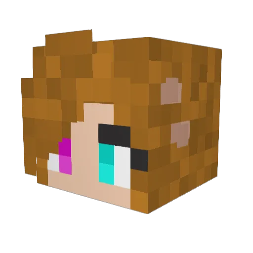 CCPATAS Minecraft avatar head, 3D render