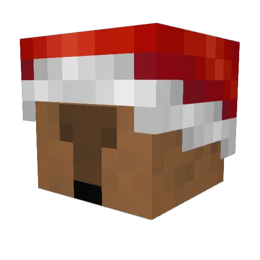 CCPlayzz Minecraft avatar head, 3D render