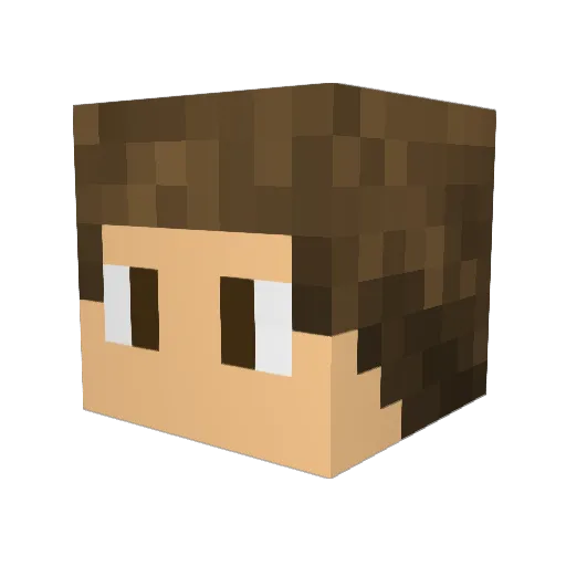 CCS7 Minecraft avatar head, 3D render