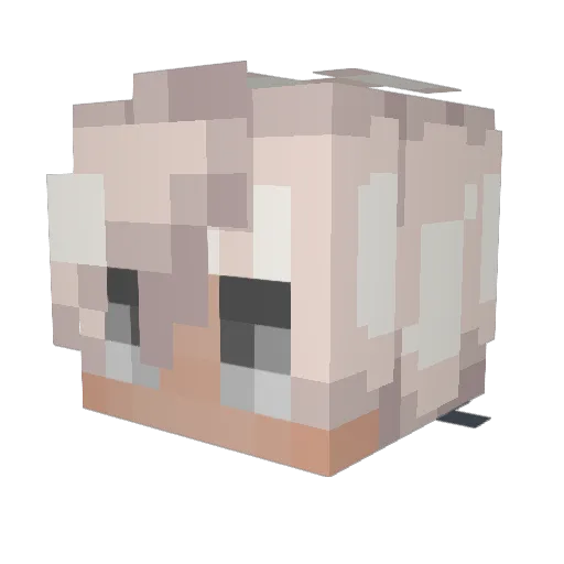 CCTop10 Minecraft avatar head, 3D render