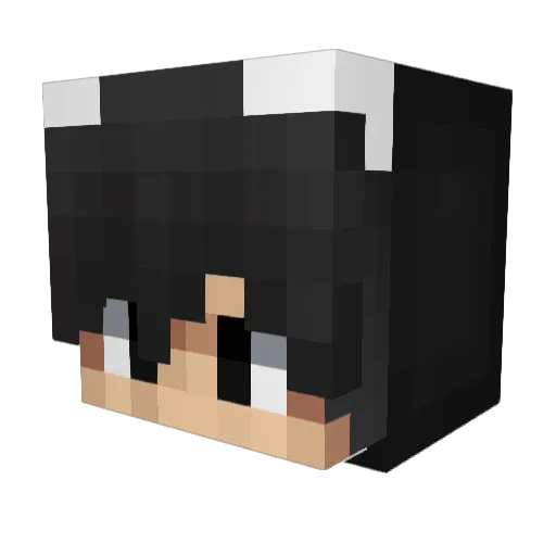 CCWANG2 Minecraft avatar head, 3D render