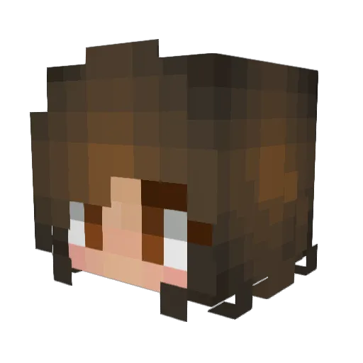 Minecraft-Avatar von CCcat314: Kopf als 3D-Render
