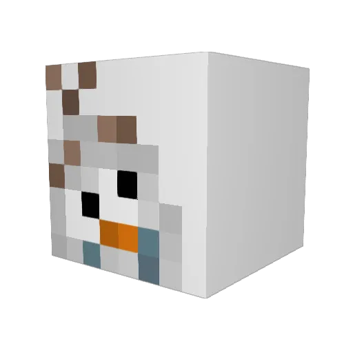 CCisacrazy1 Minecraft avatar head, 3D render