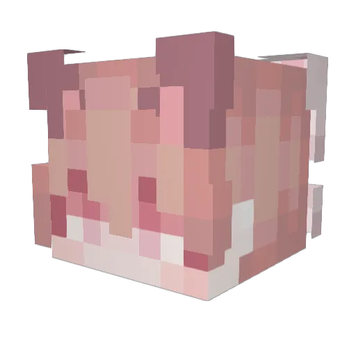 CCookieGod Minecraft avatar head, 3D render