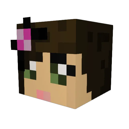 CCooper13 Minecraft avatar head, 3D render