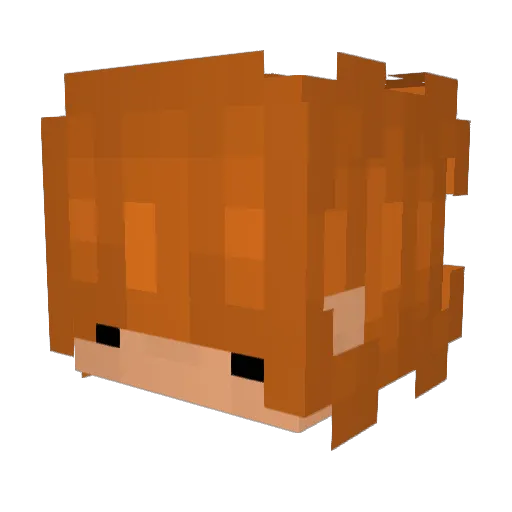 CCubee Minecraft avatar head, 3D render