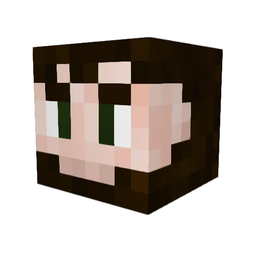 CD4_4 Minecraft avatar head, 3D render