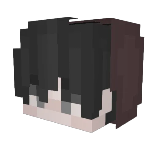 CDG_Saner Minecraft avatar head, 3D render