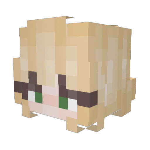 CDNB Minecraft avatar head, 3D render