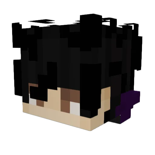 CDSAB22 Minecraft avatar head, 3D render