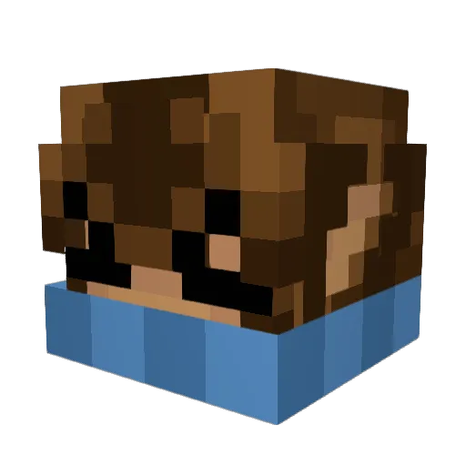 CD_z Minecraft avatar head, 3D render