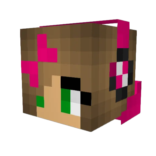 CEHJCH Minecraft avatar head, 3D render