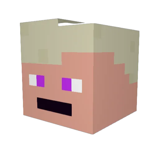 CEO_Naters Minecraft avatar head, 3D render