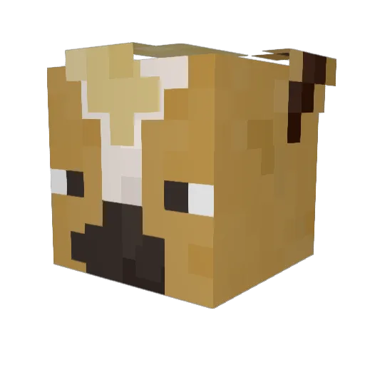 CEO_nolraM Minecraft avatar head, 3D render