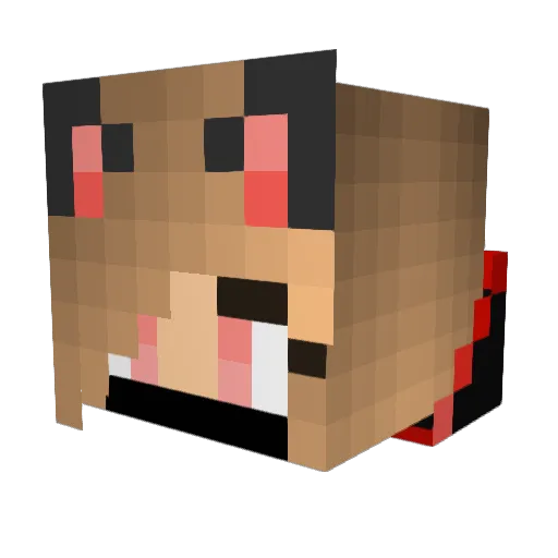 CEOofH2O Minecraft avatar head, 3D render