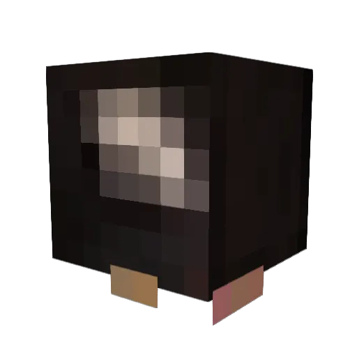 CEOofRaccs Minecraft avatar head, 3D render