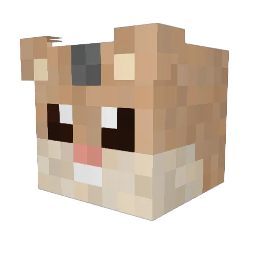 CESCU23 Minecraft avatar head, 3D render