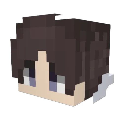 CEvannnn Minecraft avatar head, 3D render