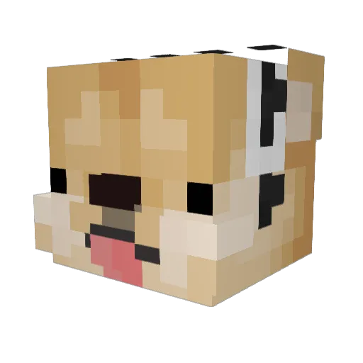 CFB5 Minecraft avatar head, 3D render