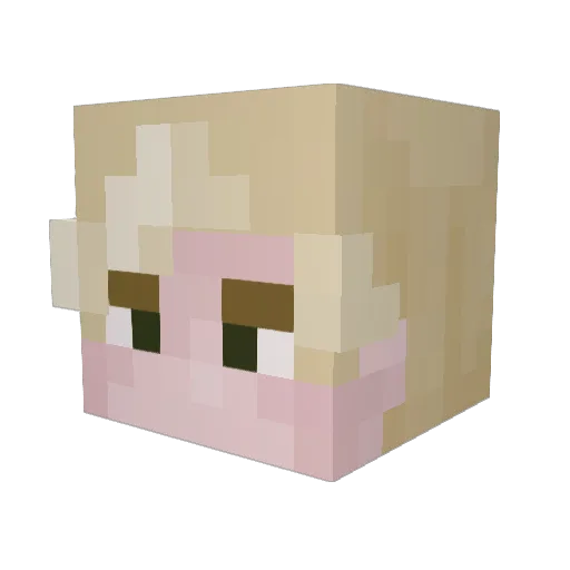 CFincher Minecraft avatar head, 3D render