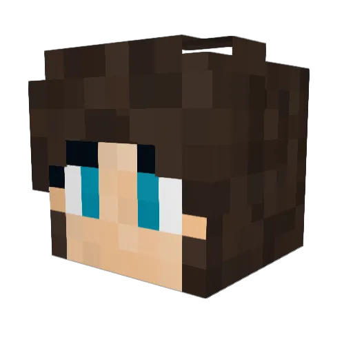 CFreezerBurnC Minecraft avatar head, 3D render