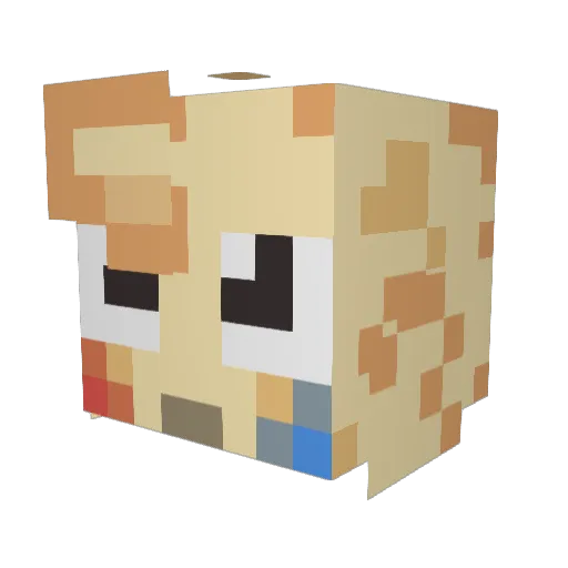 CFusionJr Minecraft avatar head, 3D render
