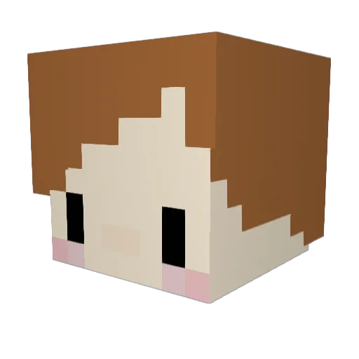 CGH577 Minecraft avatar head, 3D render