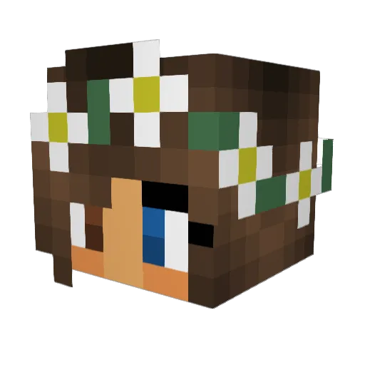 CGT840 Minecraft avatar head, 3D render