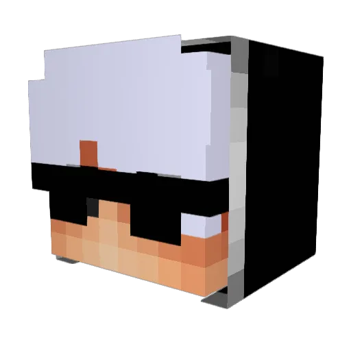 CH4SEI Minecraft avatar head, 3D render